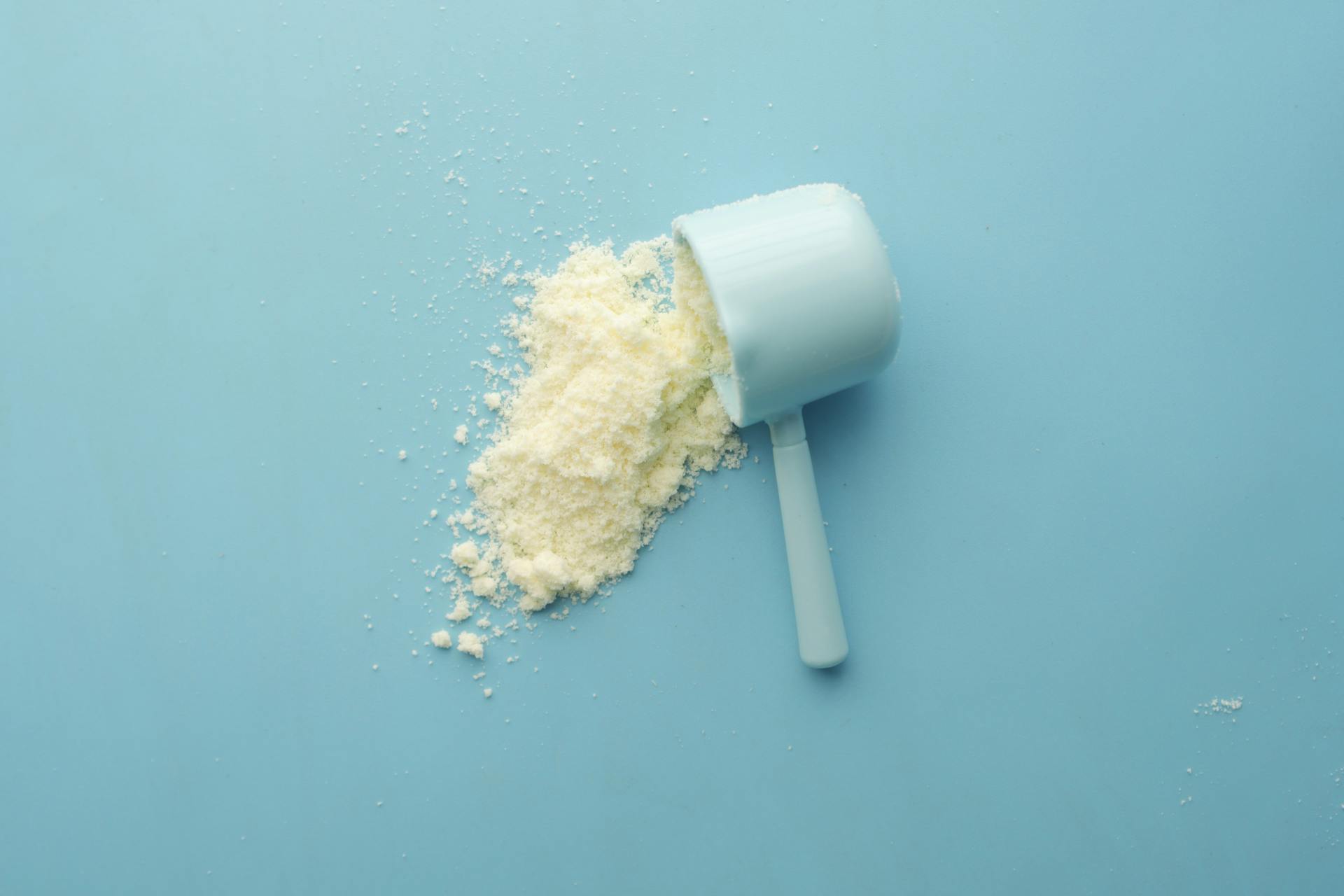 protein powder